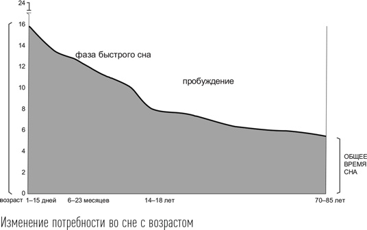 Загадки сна