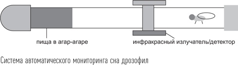 Загадки сна