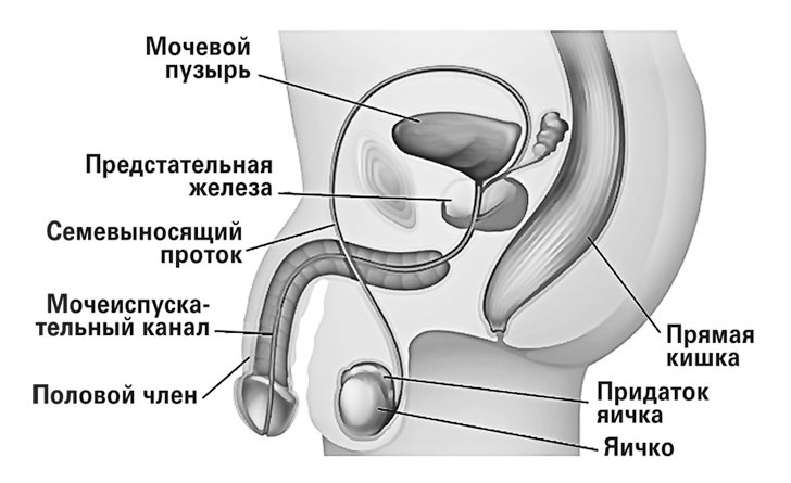 Чисто женская тема! Что должна знать каждая дама о своем здоровье