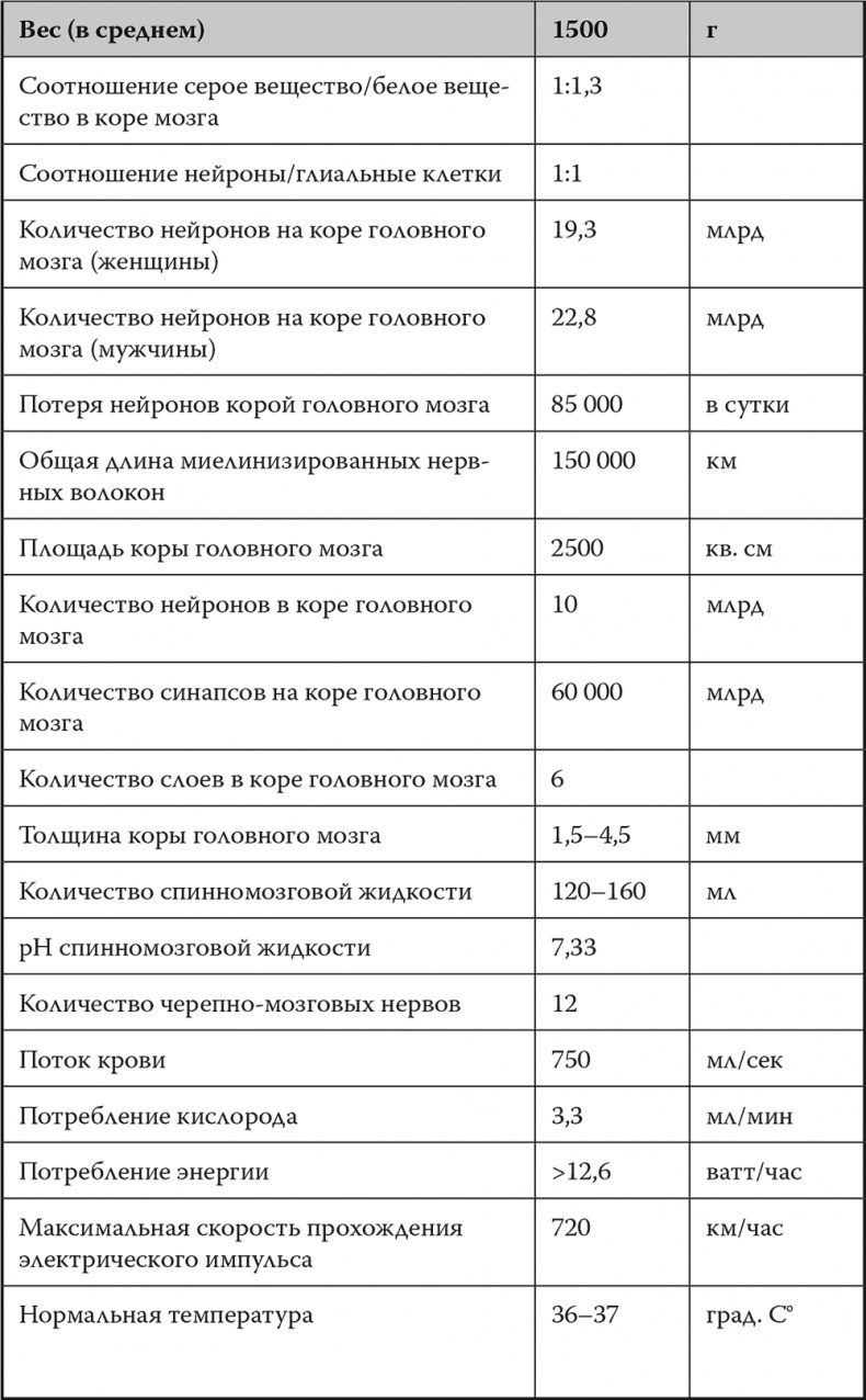 Мозг. Инструкция пользователя