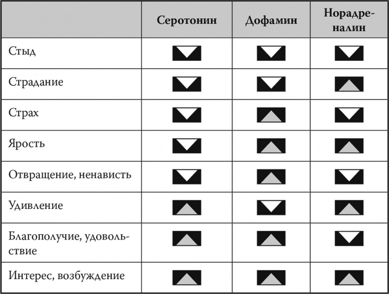 Мозг. Инструкция пользователя