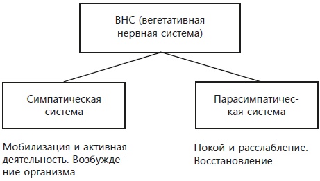 Навязчивые мысли, страхи и ВСД. Как вернуть полноценную жизнь